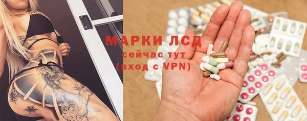 сатива Абинск