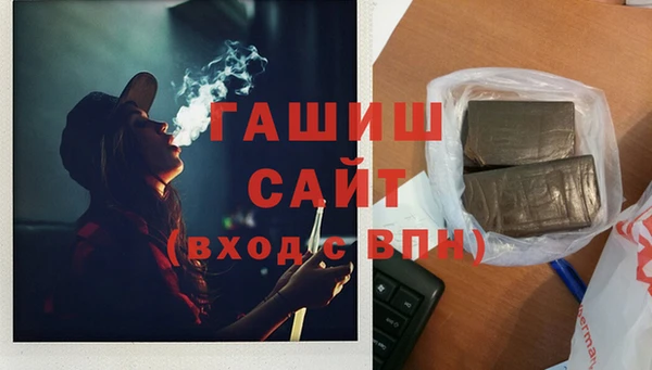 сатива Абинск