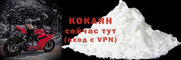 крисы Абаза