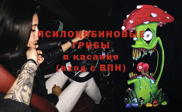 крисы Абаза