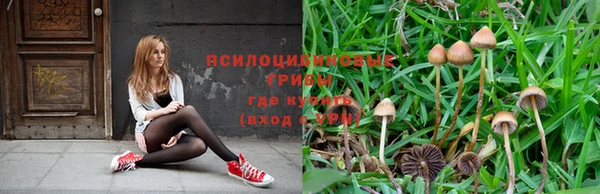 мескалин Гусь-Хрустальный