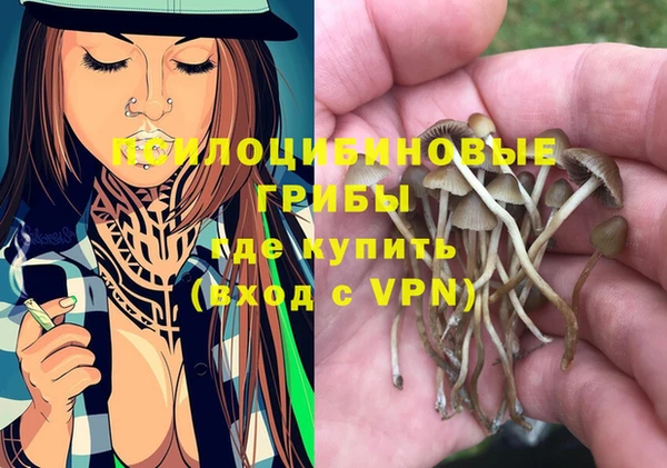 крисы Абаза