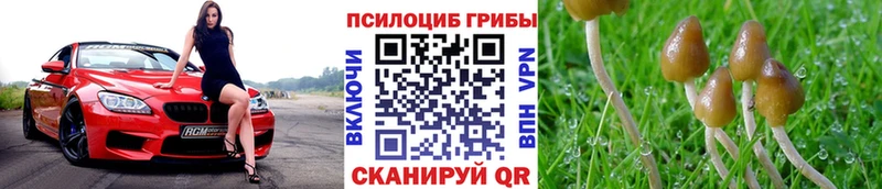 Псилоцибиновые грибы MAGIC MUSHROOMS  площадка состав  Орск 
